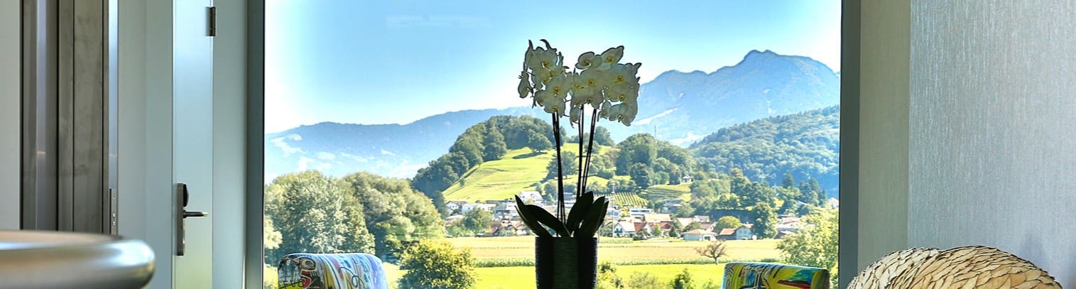 Auf dem Bild steht eine Vase mit weissen Blumen vor einem grossen Fenster. Durch das Fenster sieht man Berge mit etwas Wald und ein kleines Dorf.